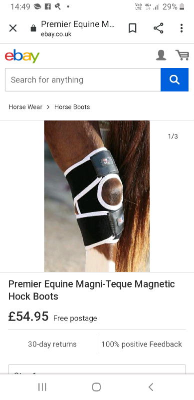 premier equine hock boots